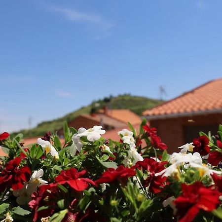 Naquela Castroviejo Guest House ภายนอก รูปภาพ