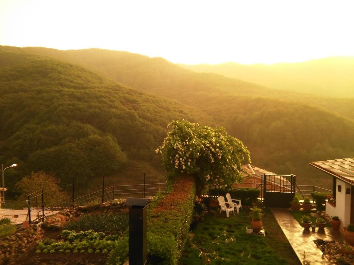 Naquela Castroviejo Guest House ภายนอก รูปภาพ
