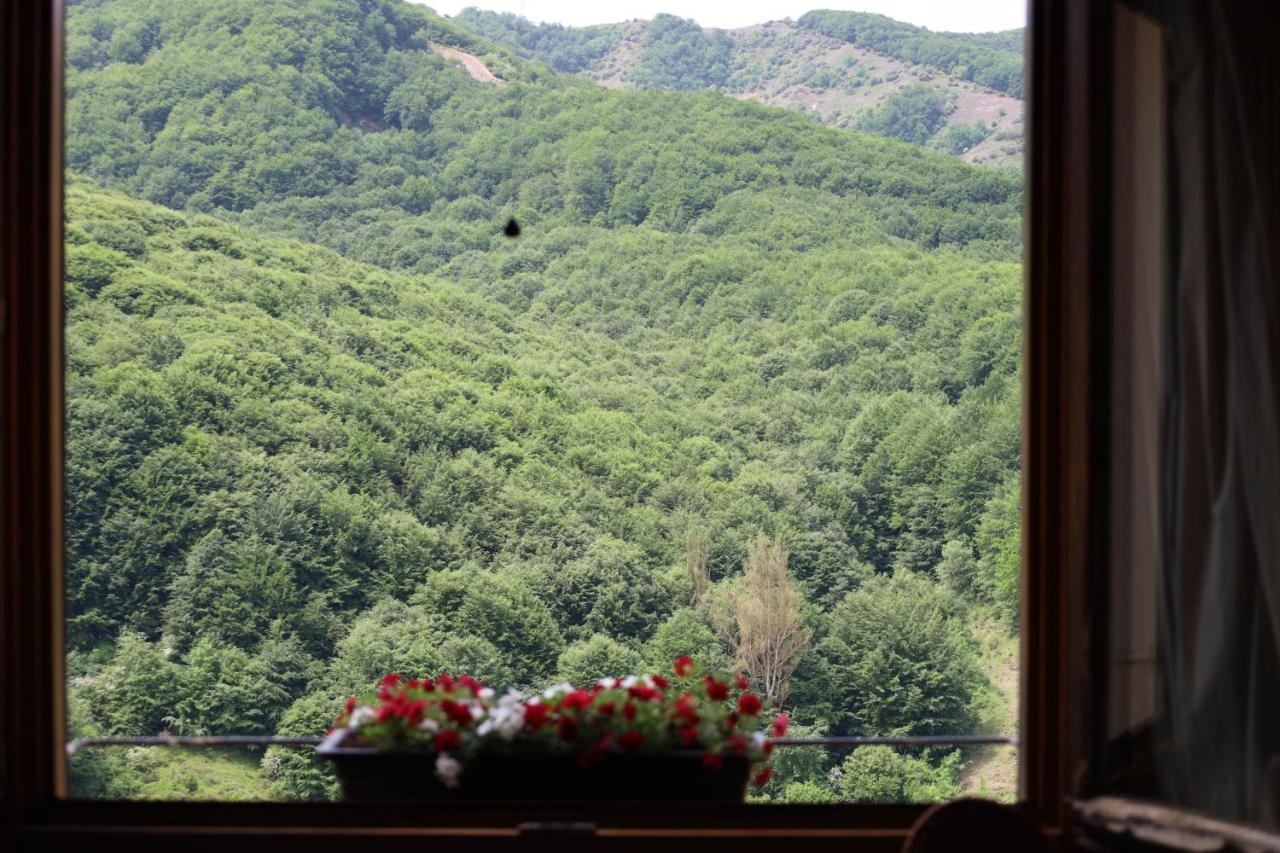 Naquela Castroviejo Guest House ภายนอก รูปภาพ